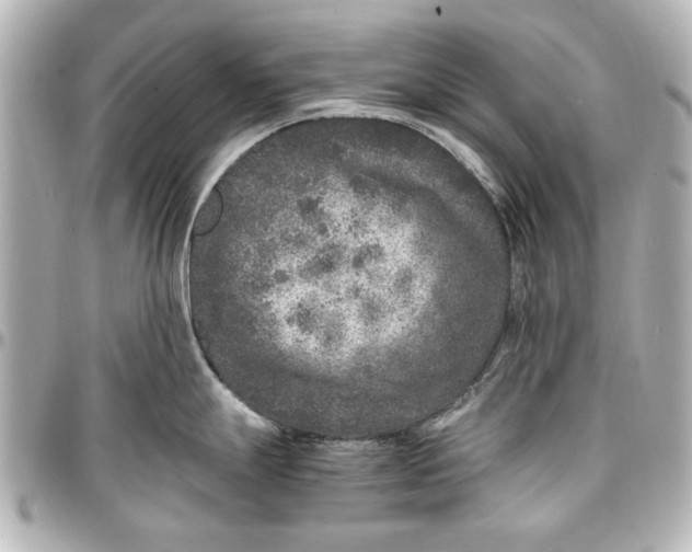 X0000096731247200802261445