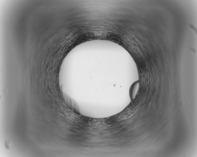 X0000096731249200802261444