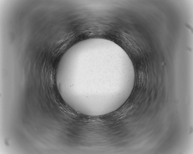 X0000096731250200802261444