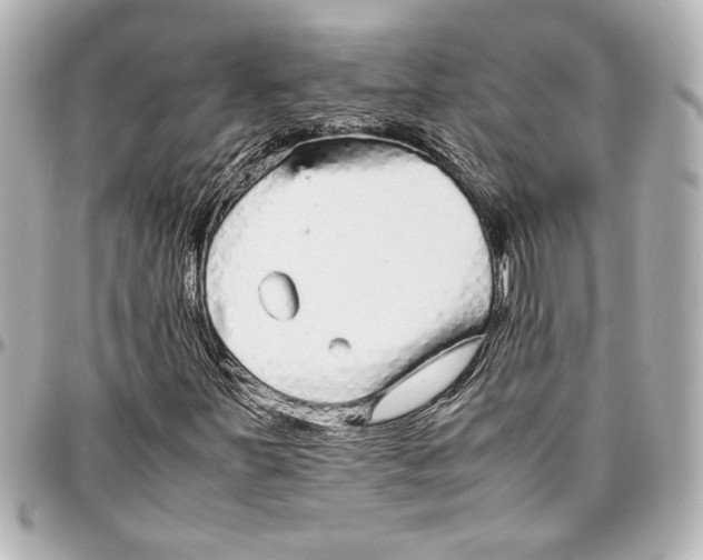 X0000096731251200802261444