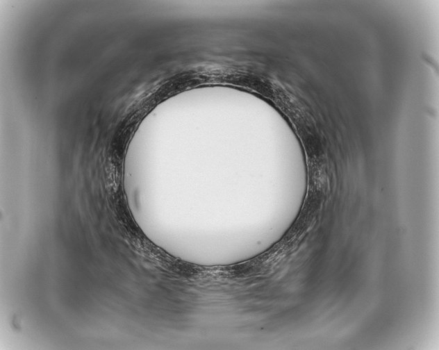 X0000096731253200802261444