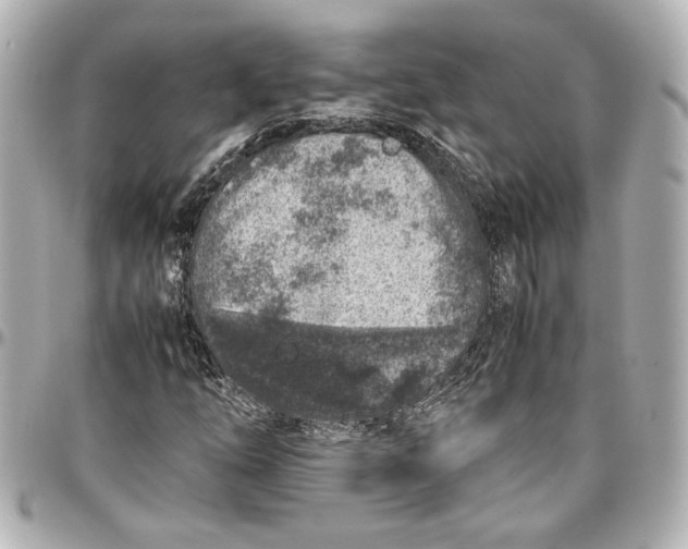 X0000096731254200802261444