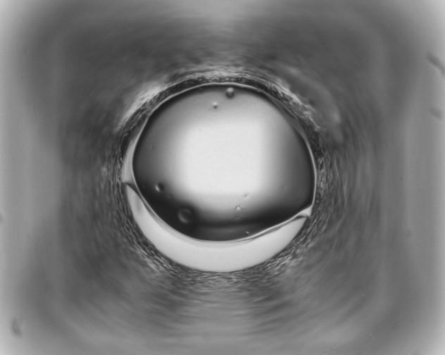 X0000096731255200802261444