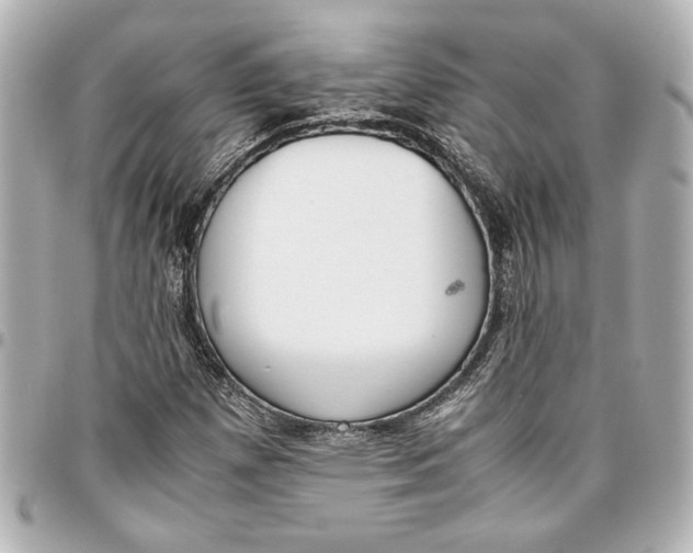 X0000096731257200802261444