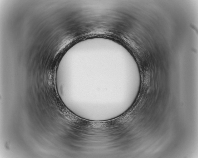 X0000096731258200802261444