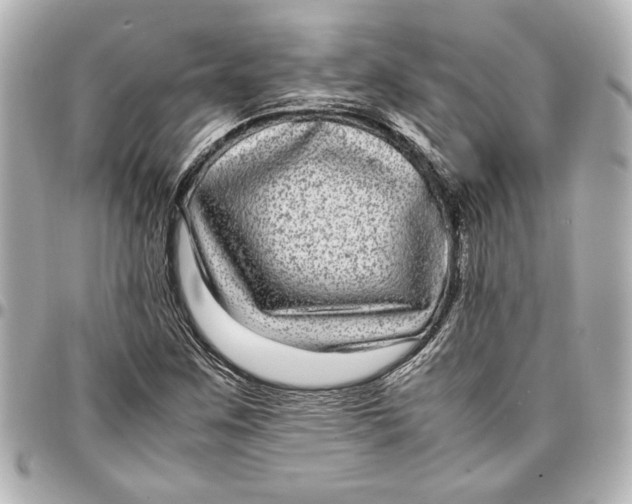 X0000096731259200802261444