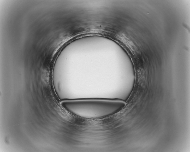 X0000096731260200802261444