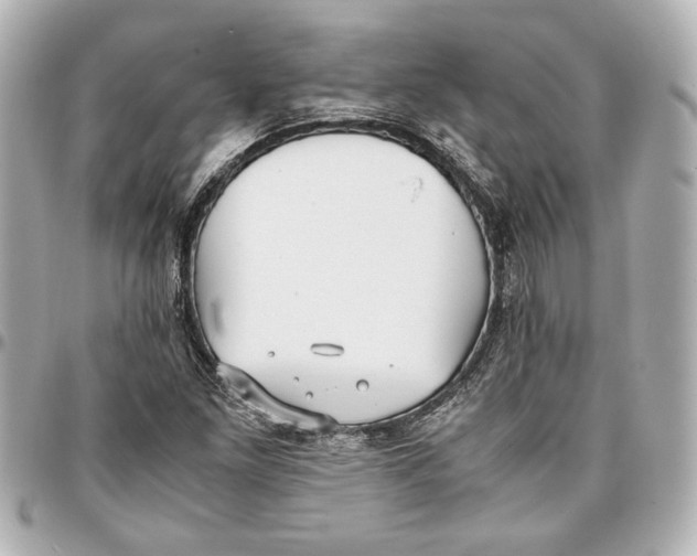 X0000096731261200802261444