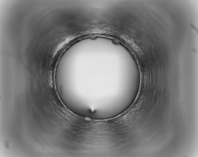 X0000096731262200802261444