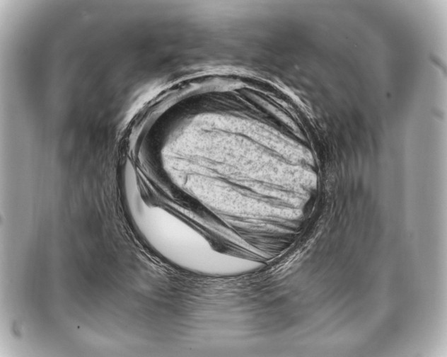 X0000096731263200802261444