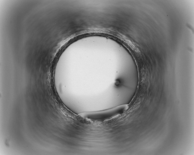 X0000096731264200802261444