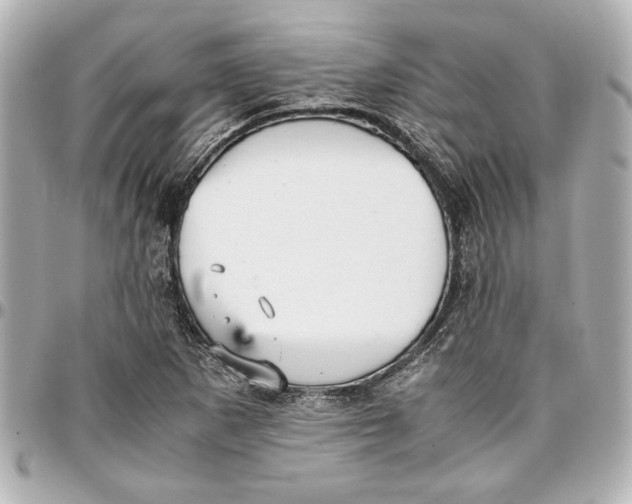 X0000096731265200802261444