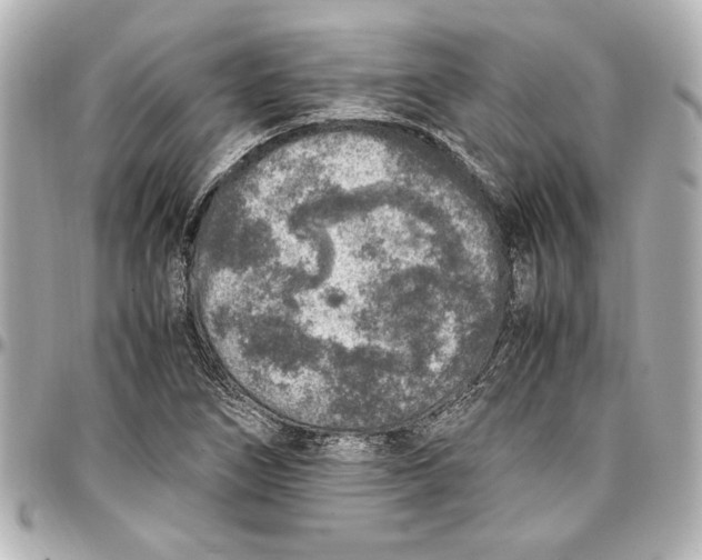 X0000096731266200802261444