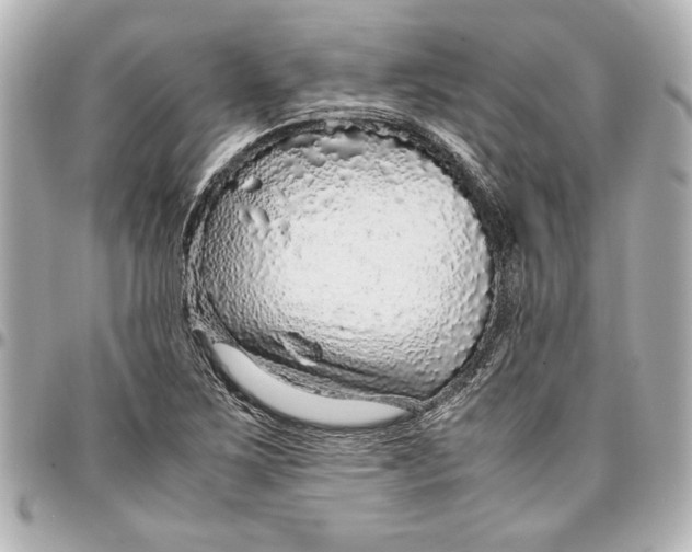 X0000096731267200802261444