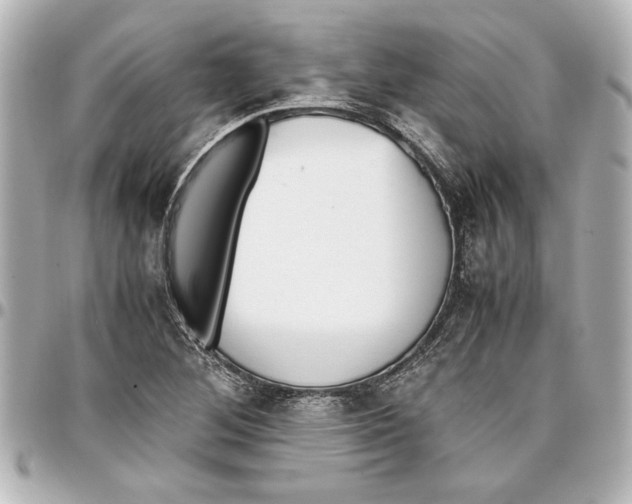 X0000096731268200802261444