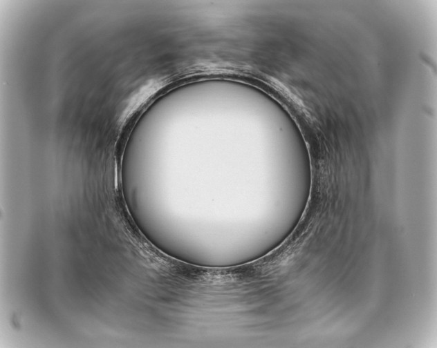 X0000096731269200802261444