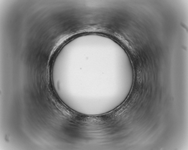 X0000096731270200802261444