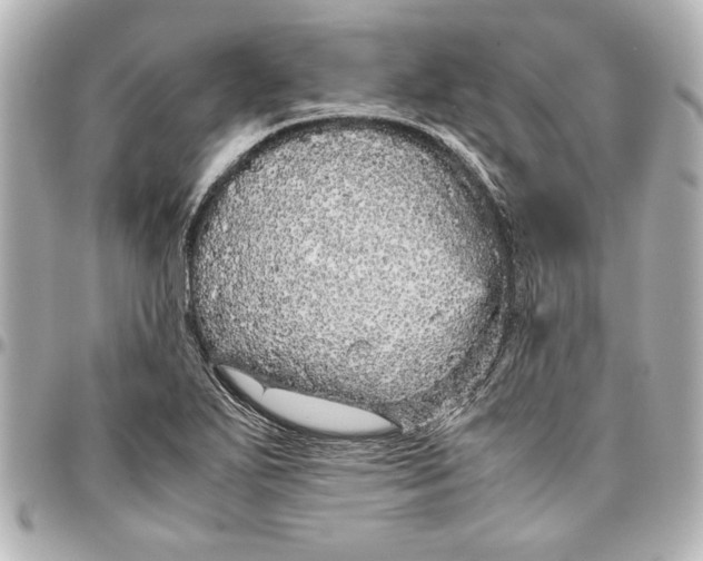 X0000096731271200802261444