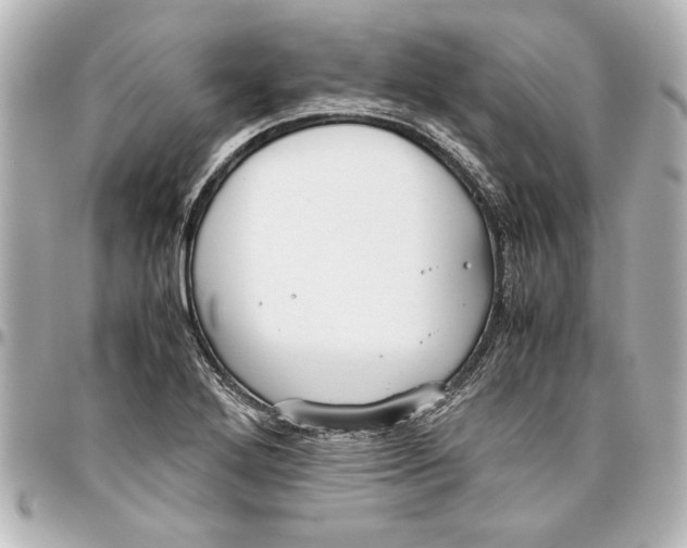 X0000096731272200802261444