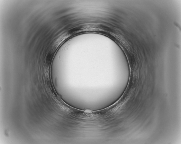 X0000096731273200802261444