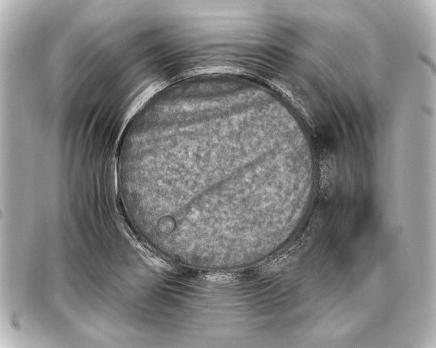 X0000096731274200802261444