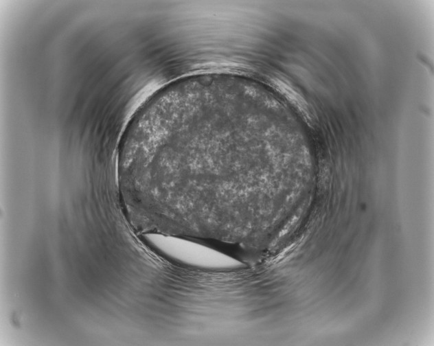 X0000096731275200802261444