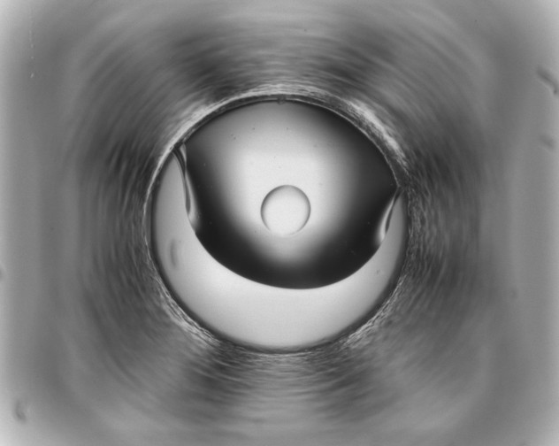 X0000096731276200802261444