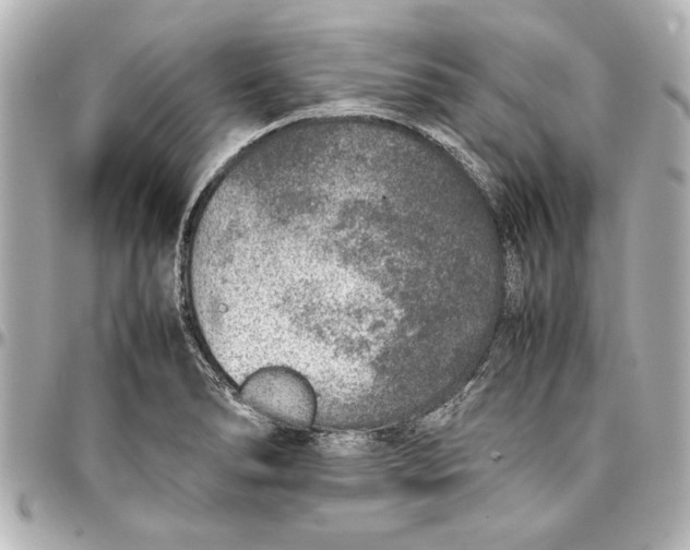 X0000096731278200802261444