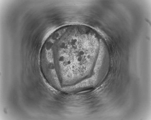 X0000096731279200802261444