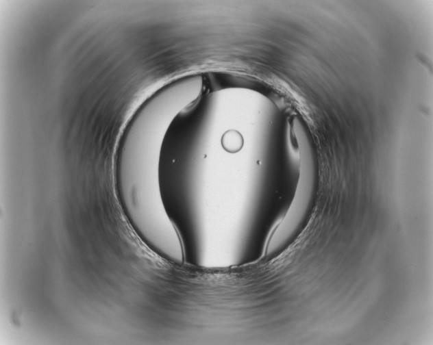 X0000096731280200802261444