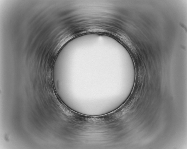 X0000096731281200802261444