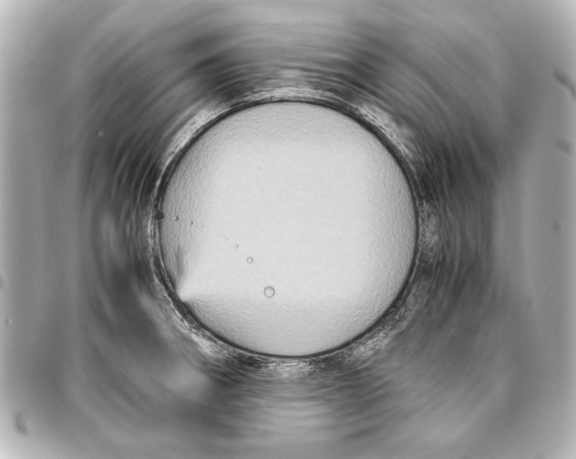 X0000096731282200802261444