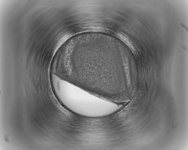 X0000096731283200802261444