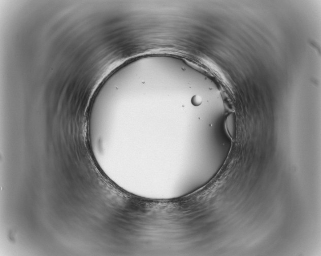 X0000096731284200802261444