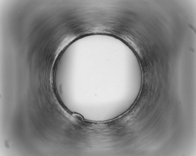 X0000096731285200802261444