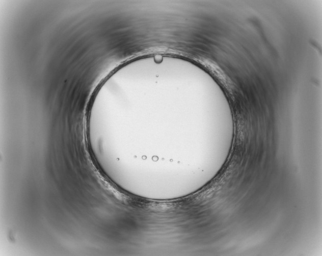 X0000096731286200802261444