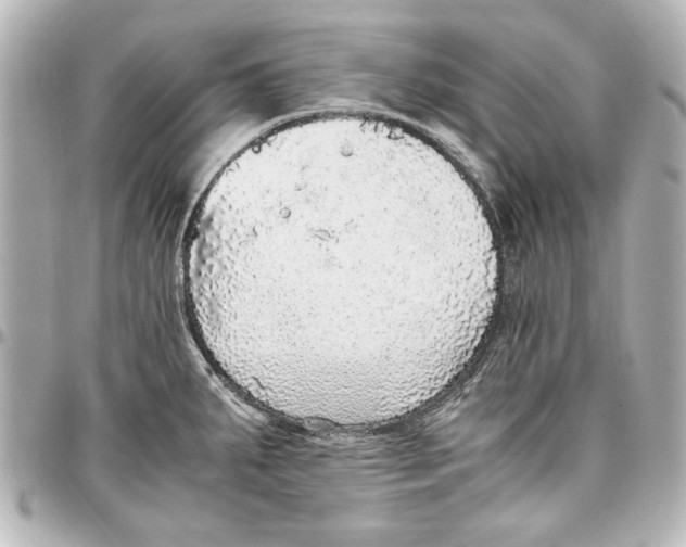 X0000096731287200802261444