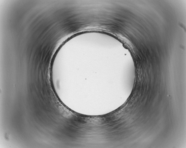 X0000096731288200802261444