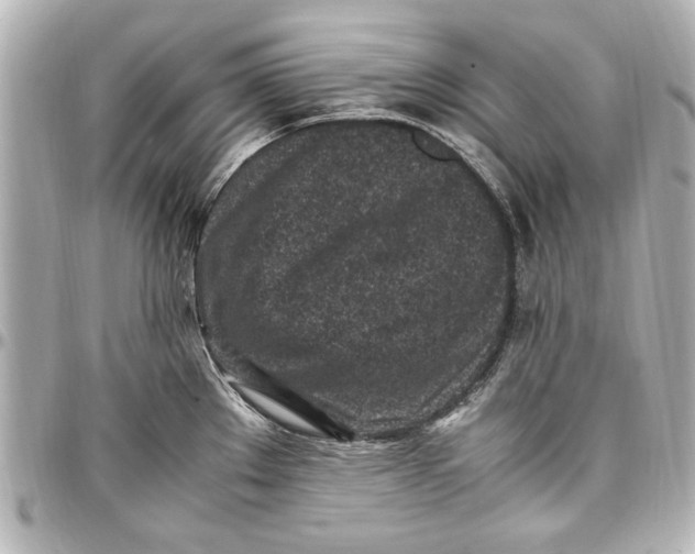 X0000096731289200802261444