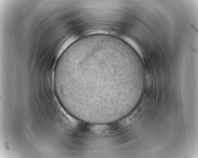 X0000096731290200802261444