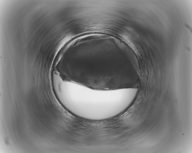 X0000096731291200802261444