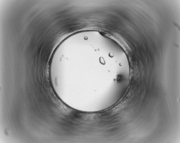 X0000096731292200802261444