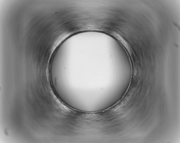 X0000096731293200802261444