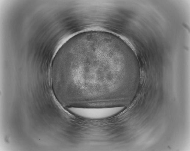 X0000096731295200802261444