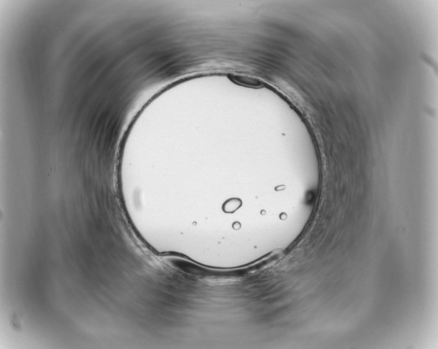 X0000096731296200802261444