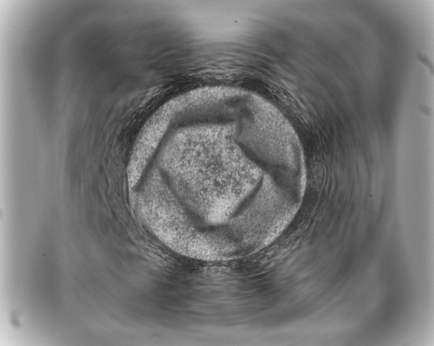 X0000096731297200802261443