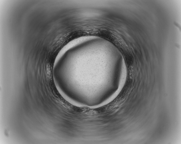 X0000096731298200802261443