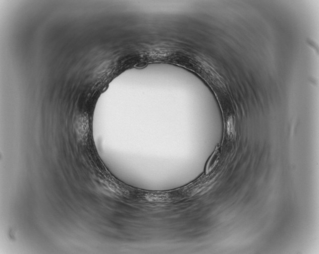 X0000096731299200802261443