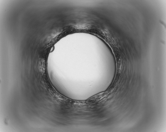 X0000096731301200802261443