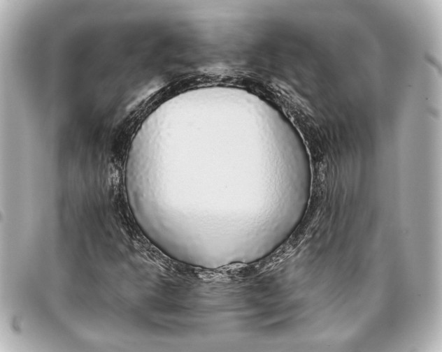 X0000096731302200802261443